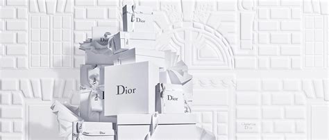 vente privée dior 2020